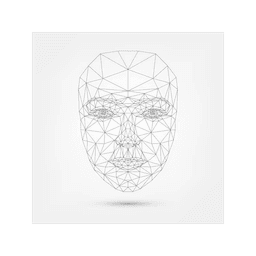 Face Mesh