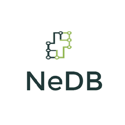 NeDB